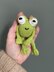 Frog pocket buddy