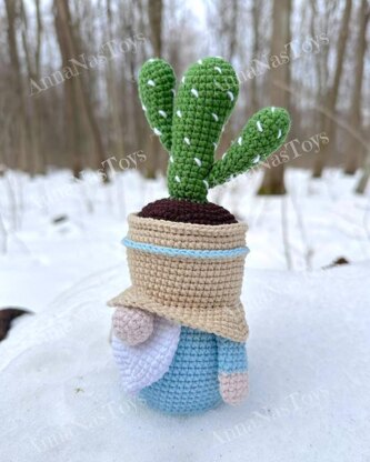 Gnome-cactus in a pot 2