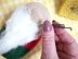 Toy Knitting Patterns Christmas- Knit gnome a cute soft toy a gift for son