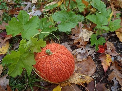 Pumpkin Hat and Pumpkin