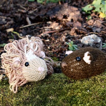 Short and Long Haired Baby Guinea Pigs - knitting pattern