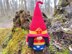 Wonder gnome