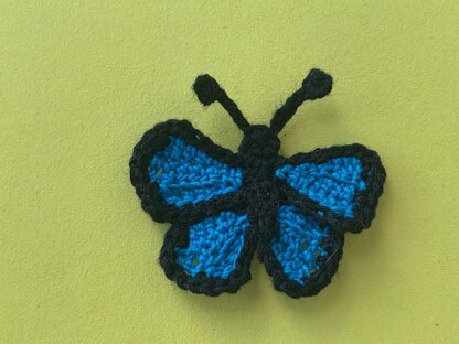 Small Butterfly