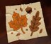 C2C CROCHET PATTERN Autumn Leaves Blanket Maple Graph Baby Throw Mother's Day Lapghan