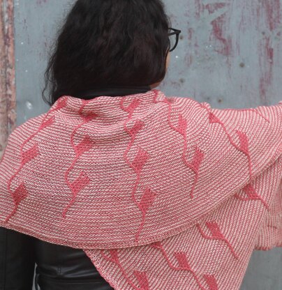 Despertares Shawl