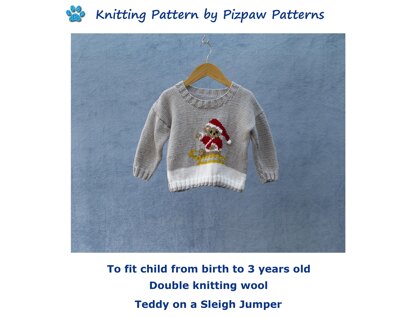 Children's Teddy on a Sleigh Jumper