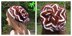 Zig Zag Slouchie 12-118A