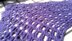Ahiru Shawl