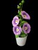 Crochet Hollyhocks flowers