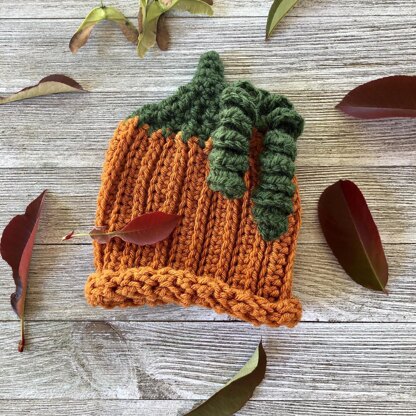 Pumpkin Newborn Set