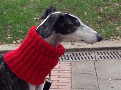 Eccentric Rib Greyhound Neck Snood