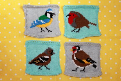 Garden Birds Intarsia Squares