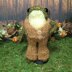 Froggy's Groovy Jumpsuit