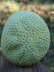 Textured Slouchy Beret