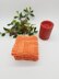 Spainhour Dishcloth