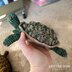 Tilly the Turtle