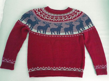 Deerie Children's Sweater