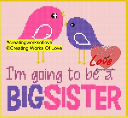 Big Sister Tweet C2C Graph