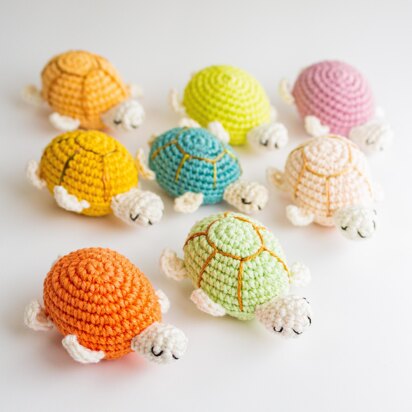 Pocket Pal Turtles