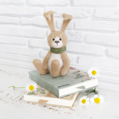 Intelligent Bunny - a big lover of books