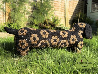 Desmond the African Flower Dachshund Dog