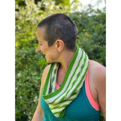 Panorama Cowl