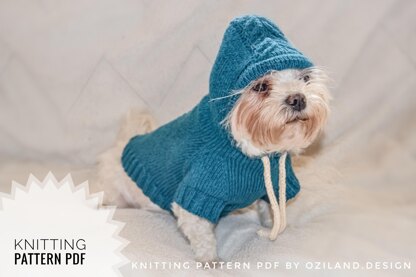 Sport hoodie clothes for dog