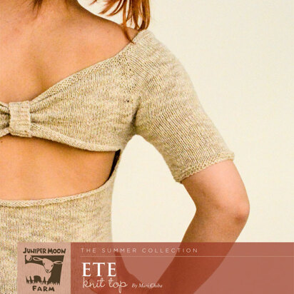 Ete Knit Top in Juniper Moon Zooey - Downloadable PDF