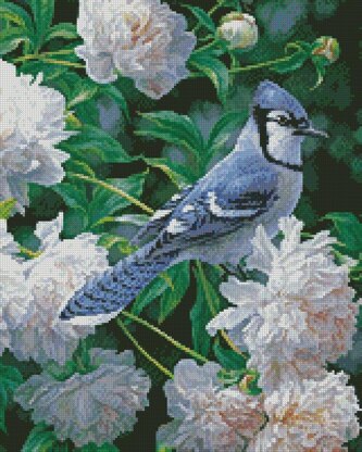 Blue Jay in Peonies (Crop) - #13357-BH