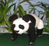 Panda Toy