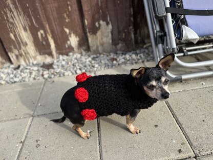 Black turtle neck dog dress with roses