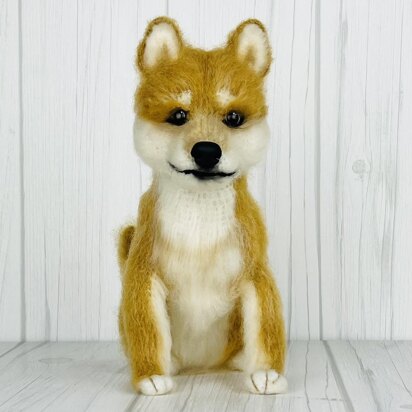 Shiba Inu Dog