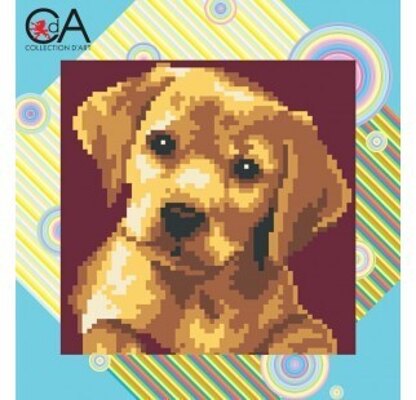Collection D'Art Labrador Puppy Needlepoint Kit - Multi