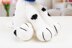 Deramores Dalmatian PDF