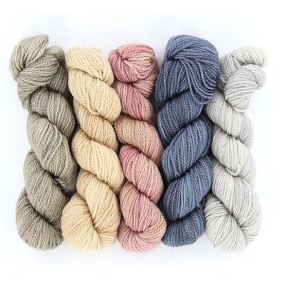 Wonderland Yarns Cheshire Cat 5-Skein Pack