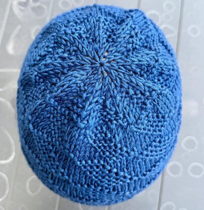 Locust Street Beanie