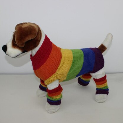 Rainbow Dog Coat and Legwarmers