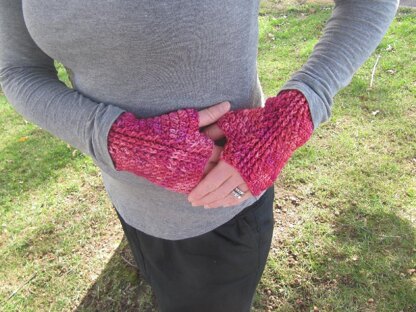 Cinnamon Sticks Fingerless Gloves