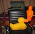 Rubber Duck (Ducky) Pillow (Cushion)