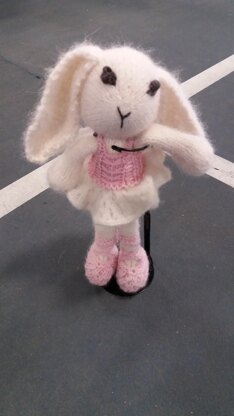 Bunny rabbit