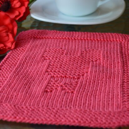 Dishcloth1