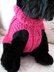 Entwined Paths dog sweater from Celtic Doggies