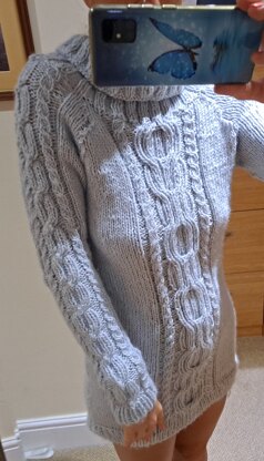 Snuggly chunky roll neck
