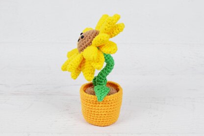 Potted Sunflower