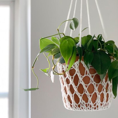 Bloom Hanging Basket