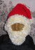 Bearded Santa Superfast Hat