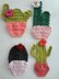 Cacti Applique