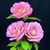 Handel Rose
