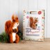 The Crafty Kit Company Highland Red Squirrel Needle Felting Kit - 190 x 290 x 94mm