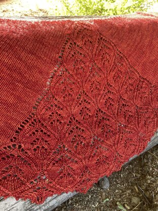 Zinderella Shawl.